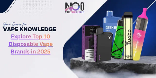 Explore Top 10 Disposable Vape Brands in 2025