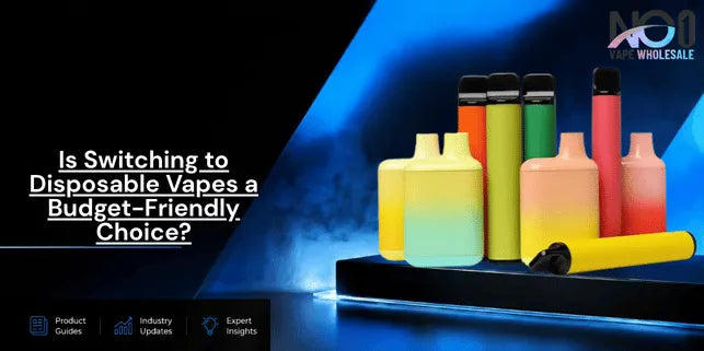 Is Switching to Disposable Vapes a Budget-Friendly Choice?